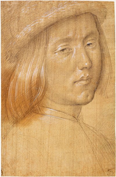 Cabeza de un joven de Lorenzo di Credi