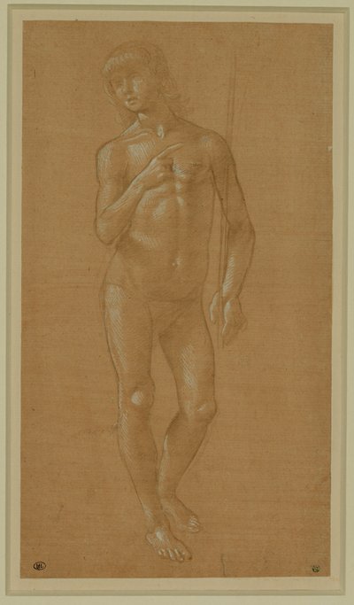 Joven desnudo, cara completa, sosteniendo un bastón Plumín de plata, realzado en blanco, papel rosa claro ... de Lorenzo di Credi