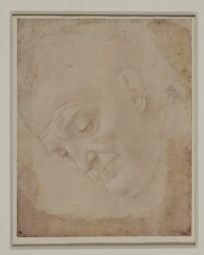 Retrato de un hombre calvo, girado tres cuartos hacia la izquierda ... de Lorenzo di Credi