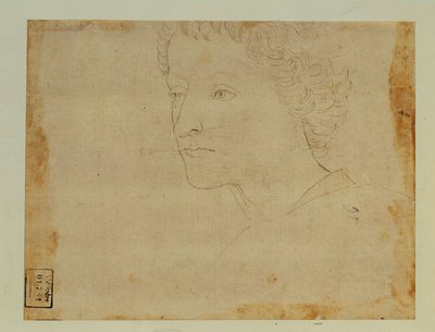 Retrato de un niño con el pelo rizado, tres cuartos hacia la izquierda ... de Lorenzo di Credi