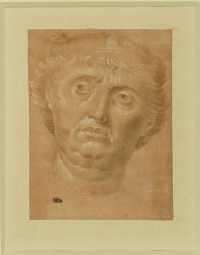 Retrato de hombre, cara completa, ojos girados a la izquierda ... de Lorenzo di Credi