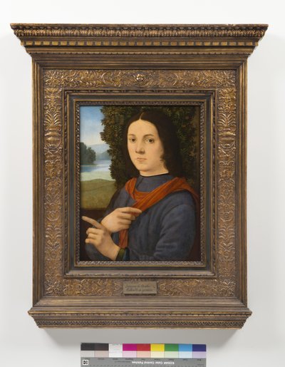 Retrato de un joven de Lorenzo di Credi