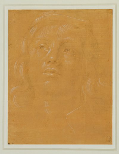 Retrato de un joven, de cara, mirando hacia arriba ... de Lorenzo di Credi