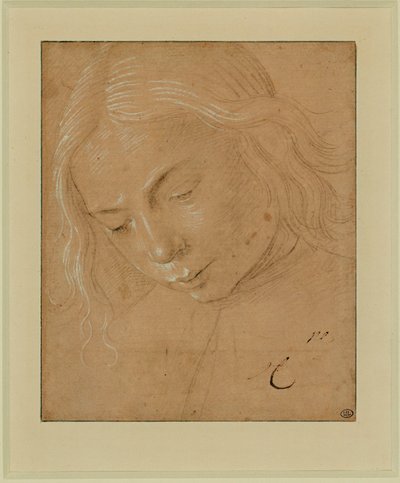 Retrato de un joven, de tres cuartos, inclinado hacia delante ... de Lorenzo di Credi