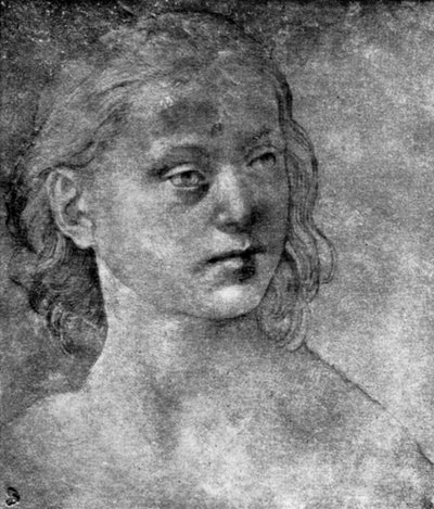 La cabeza de una joven, siglo XV o XVI de Lorenzo di Credi