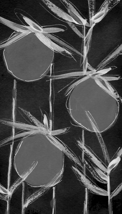 Formas botánicas abstractas de Lori Ann Folz