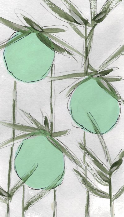  de Lori Ann Folz