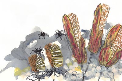 Arañas del género Banksia de Lori Ann Folz