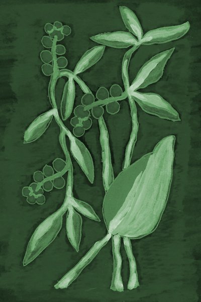 Matices botánicos de verde de Lori Ann Folz