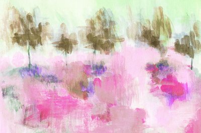 Campo rosa de ensueño de Lori Ann Folz