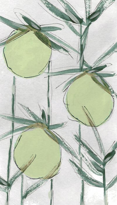  de Lori Ann Folz