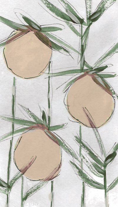 Melocotones frescos al estilo pictórico de Lori Ann Folz
