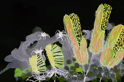 Jardín nocturno luminoso de Lori Ann Folz