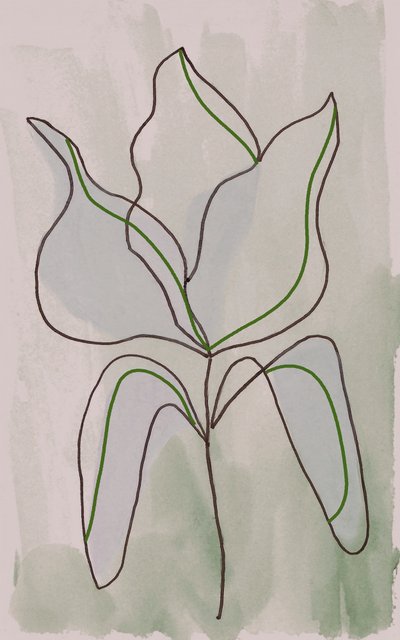 Contorno botánico minimalista de Lori Ann Folz