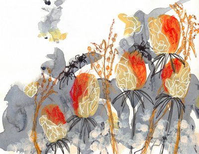 Banksia naranja con arañas de Lori Ann Folz