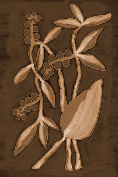 Productos botánicos orgánicos de sepia de Lori Ann Folz