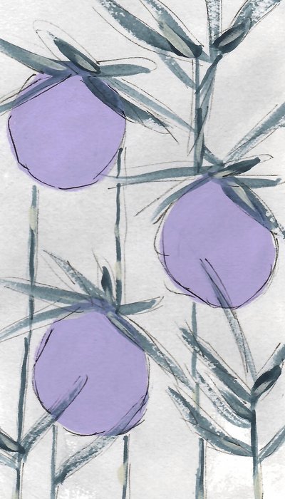 Frutas botánicas de color morado de Lori Ann Folz