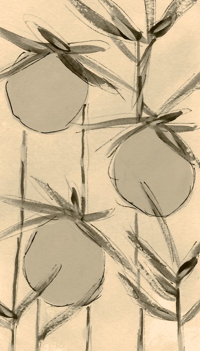 Plantas de algodón sepia de Lori Ann Folz