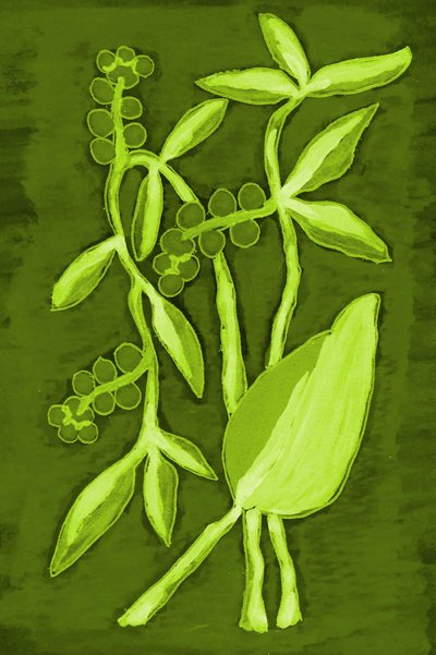 Follaje de un verde intenso de Lori Ann Folz