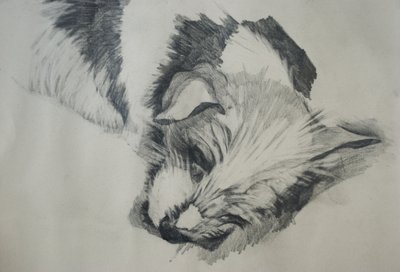 Jack Russel, 2015 de Lou Gibbs