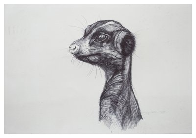 Suricata, 2016 de Lou Gibbs