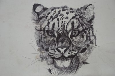 Leopardo de las nieves de Lou Gibbs
