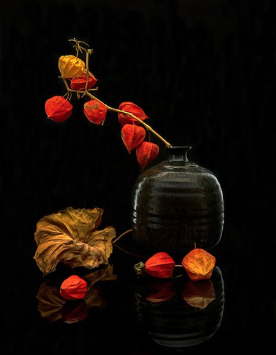 Naturaleza muerta con faroles de otoño de Louie Luo