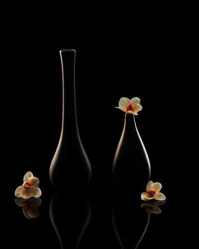 Elegantes reflexiones sobre las orquídeas de Louie Luo