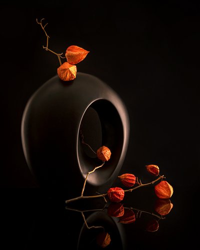 Jarrón negro de Orange Botanicals de Louie Luo