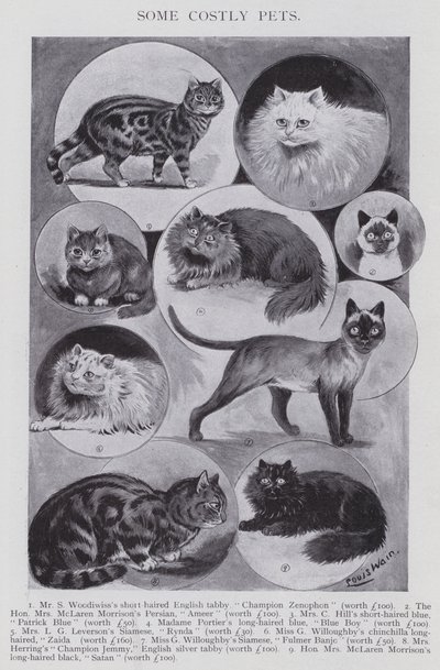 Algunas mascotas costosas de Louis (after) Wain