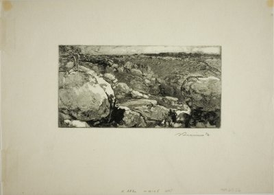 El circo de Long-Rocher de Louis Auguste Lepère