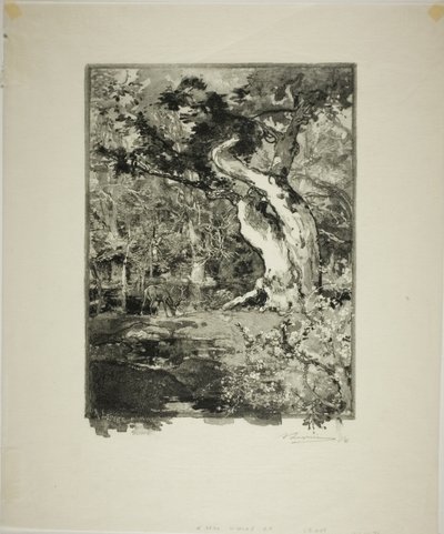 Le Clovis, Meseta de Bellecroix de Louis Auguste Lepère