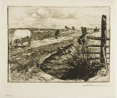 Carretera en el Marais, Vendée de Louis Auguste Lepère
