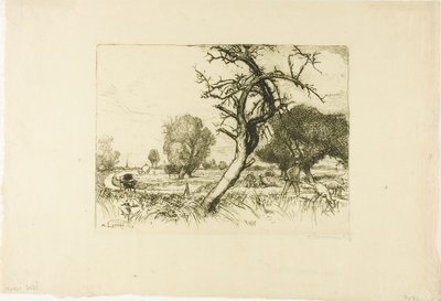 El manzano muerto de Louis Auguste Lepère