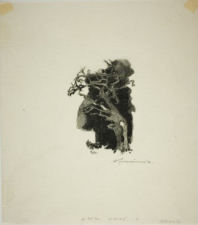 El Spitfire de Louis Auguste Lepère