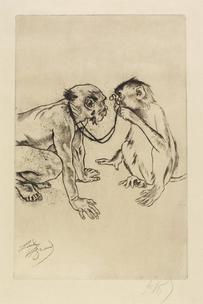 Anatomía comparada de Louis Auguste Mathieu Legrand