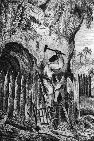 Planté diez filas de empalizadas. grabado después del dibujo de M. de Sainson para el Libro de Daniel Defoe “Robinson Crusoe” edición francesa de 1837. de Louis Auguste de Sainson