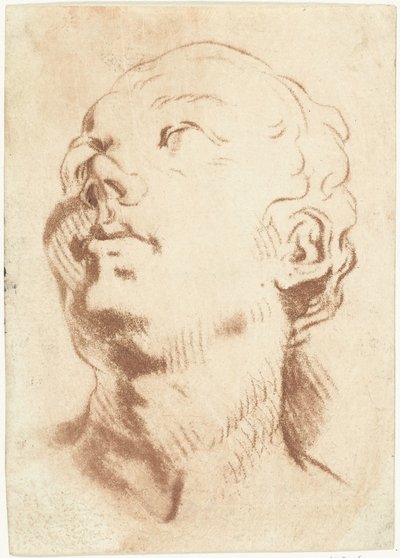 Hoja de estudio con cabeza, mirando hacia arriba. de Louis Bernard Coclers