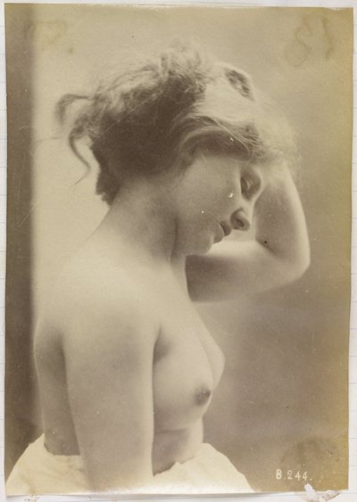 Estudio de un desnudo femenino, busto visto de perfil, con el pelo recogido de Louis Bonnard