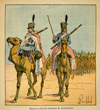 Durante la campaña egipcia, Napoleón Bonaparte creó regimientos de camellos, del libro 