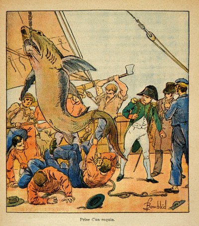 Ilustración de Bombled Louis (1862-1927) del libro “El Memorial de Santa Helena” de Conde Emmanuel de Las Cases (1766-1842): El emperador Napoleón asiste a la captura de un tiburón a bordo del Northumberland, Colección privada de Louis Charles Bombled