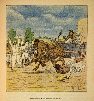 La Guerra en Madagascar - Historia anecdótica de las expediciones francesas de 1885-1895 por Henri Galli, ilustrado por Louis Bombled: Bueyes alcanzados por carros Lefebvre de Louis Charles Bombled