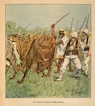 La Guerra en Madagascar-Historia Anecdótica de las Expediciones Francesas de 1885-1895 por Henri Galli, ilustrado por Louis Bombled: En Diego-Suarez, el ejército francés exige bueyes, Colección Privada de Louis Charles Bombled