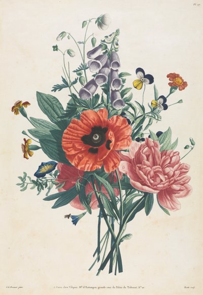 Colección de Flores y Frutas Pintadas del Natural: Ramo de Dedalera, Clemátide, Pensamiento, Peonía, Amapola y Lirio Amarillo de Louis Charles Ruotte