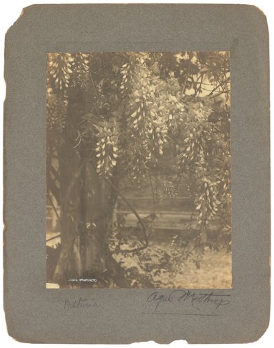 Estudios Tiffany, c.1898-1920 (fotografía b/n) de Louis Comfort Tiffany