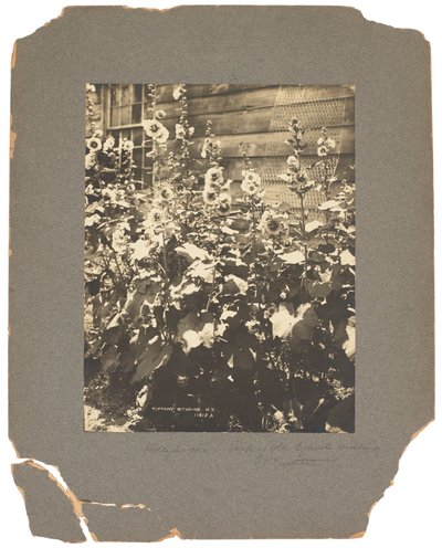 Estudios Tiffany, c.1898-1920 (fotografía b/n) de Louis Comfort Tiffany