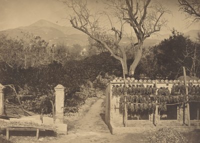 Escena agrícola con montañas de Louis Crette