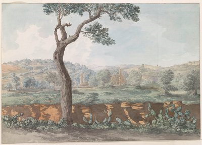 El templo de Cástor y Pólux en las murallas de la antigua Agrigento
Vista de las ruinas del Templo de Cástor y Pólux dentro de las murallas de la antigua Agrigentum (título en el objeto)
Viaje a Italia, Sicilia y Malta - 1778 (título de la serie) de Louis Ducros