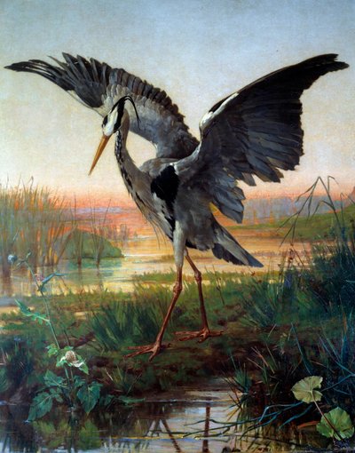 La garza. Ilustración de la fábula "La garza y el caracol" de Jean de La Fontaine de Louis Emile Villa
