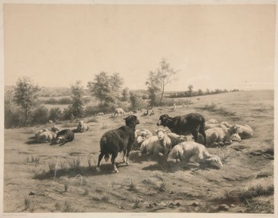 Las ovejas de Louis Emmanuel Soulange Teissier